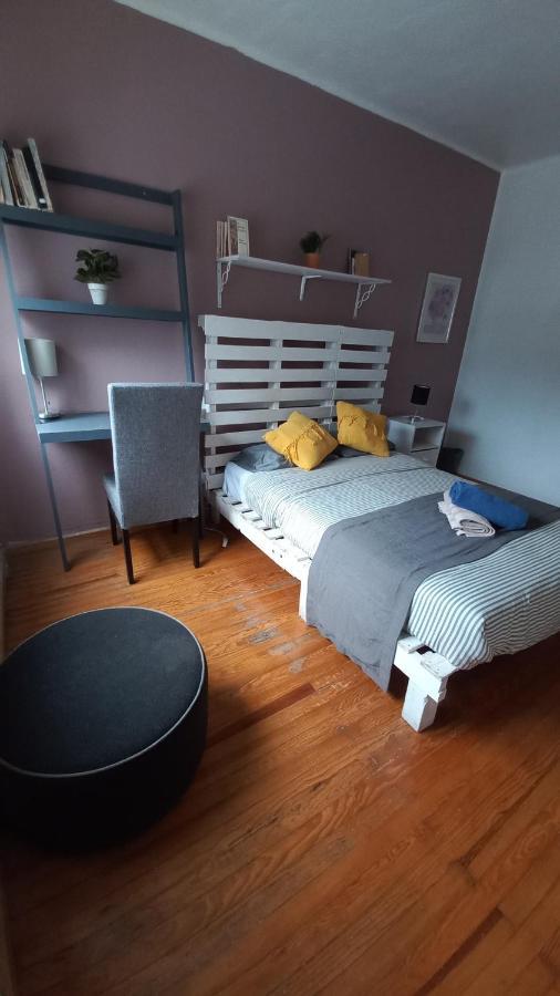 A7 En Condesa Amsterdam Homestay Mexico City