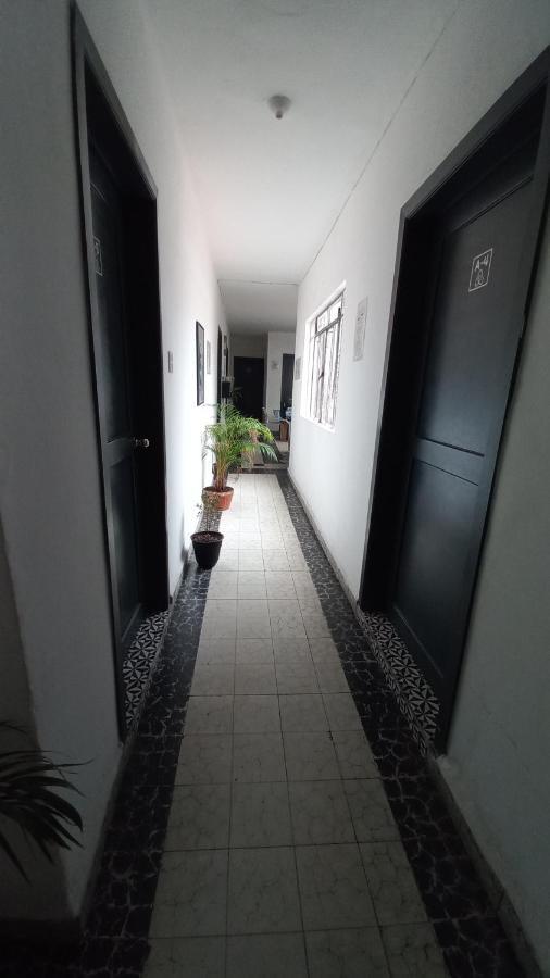 Homestay A7 En Condesa Amsterdam Mexico City